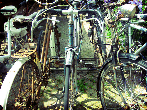 Bikes