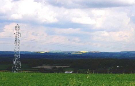 Southdowns