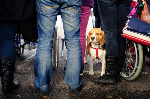 The Olympic Torch in Portsmouth - Through the Lens of Matthew Cleveland (3)