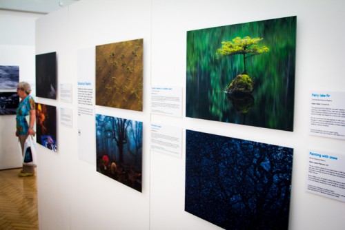 Wildlife Photographer of the Year Exhibition at Gosport Gallery (1)