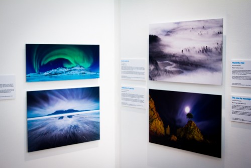 Wildlife Photographer of the Year Exhibition at Gosport Gallery (3)