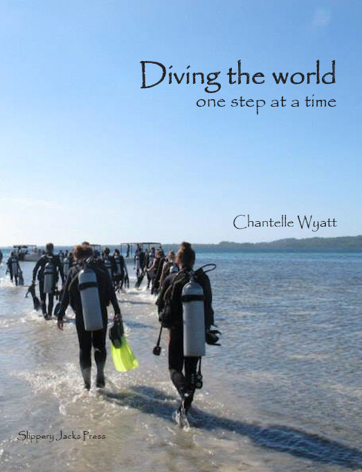 Cover-DivingtheWorld