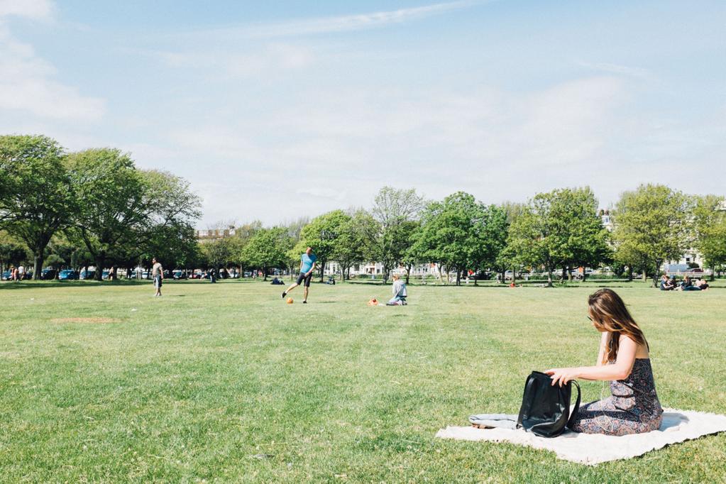 Southsea Common by Sam Carter (@cheesysam - Twitter)