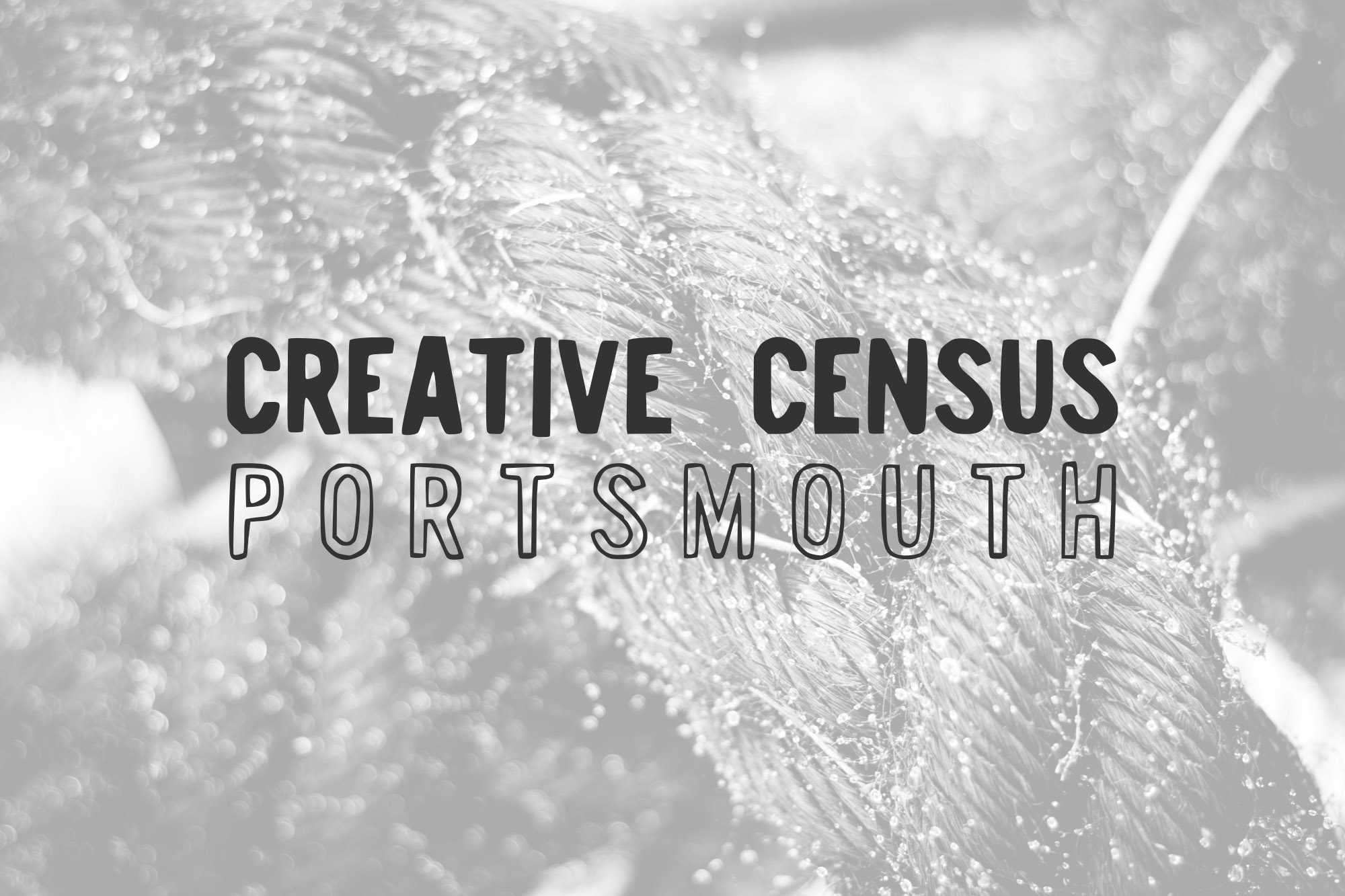 Creative Census Portsmouth Now Open