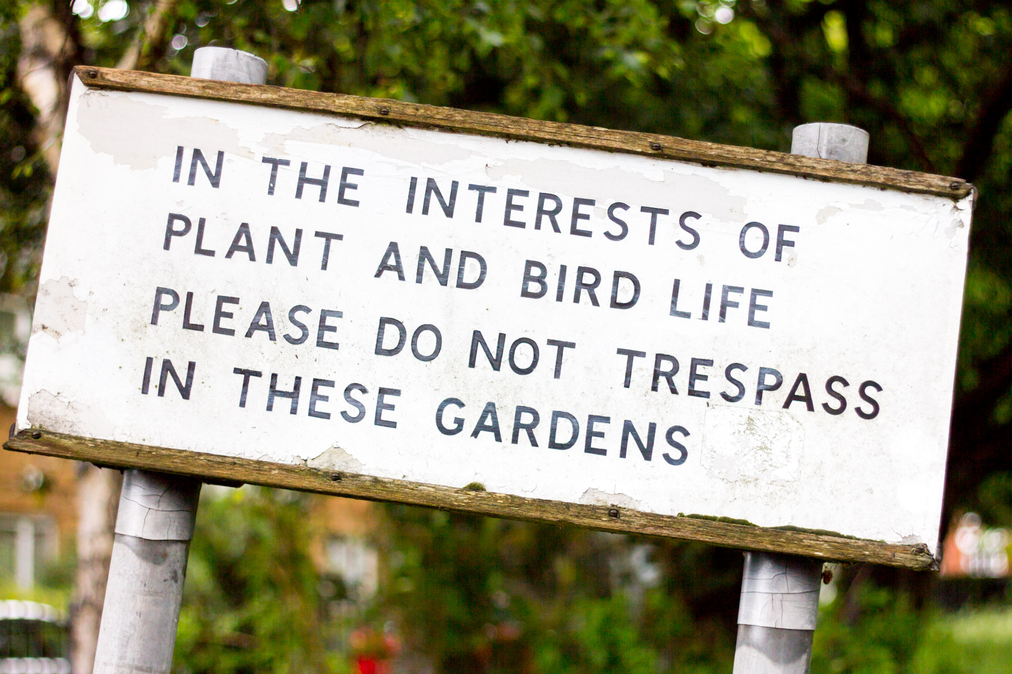 Nature Garden on Kings Road in Southsea (5)