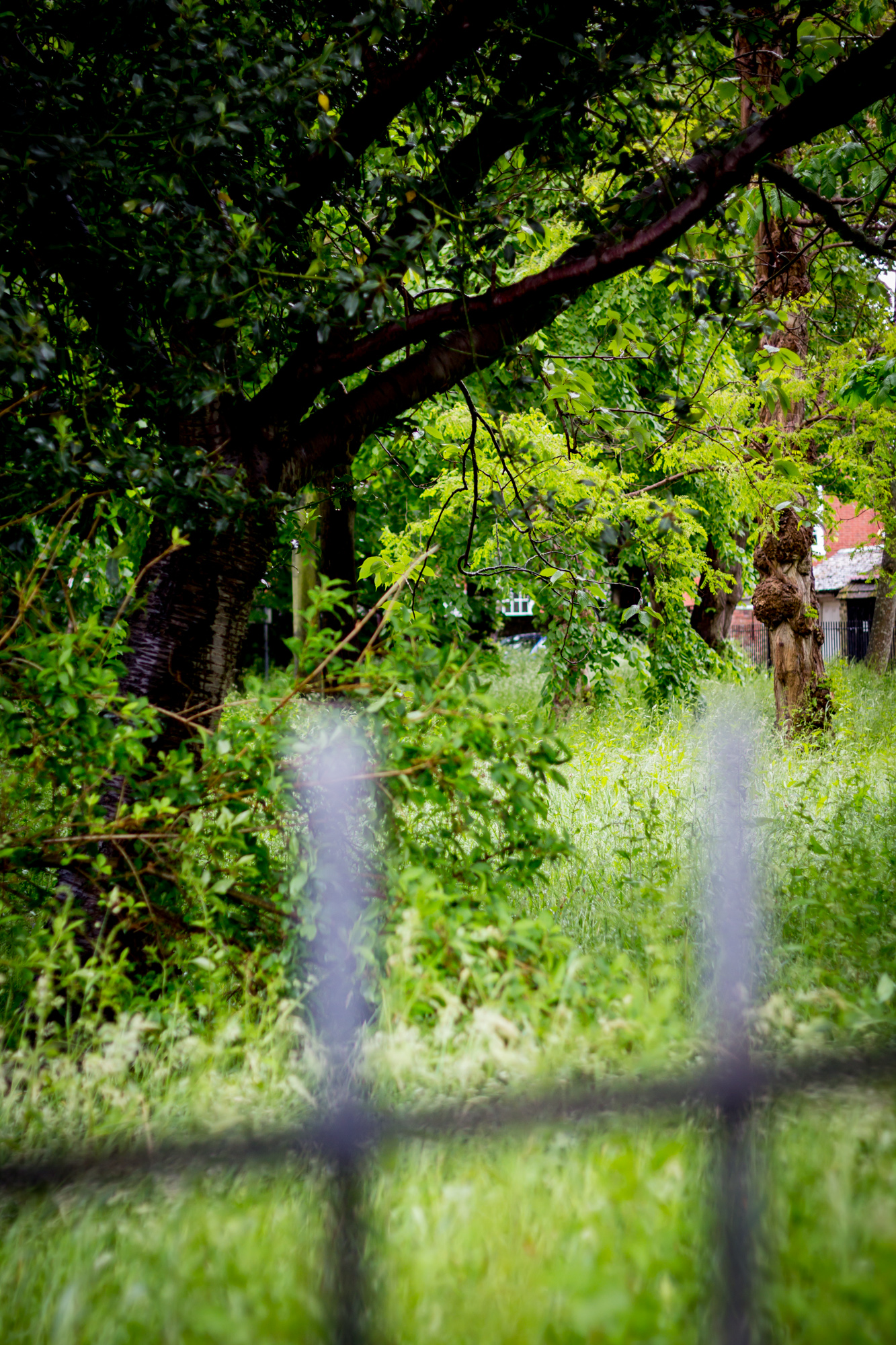 Nature Garden on Kings Road in Southsea (1)