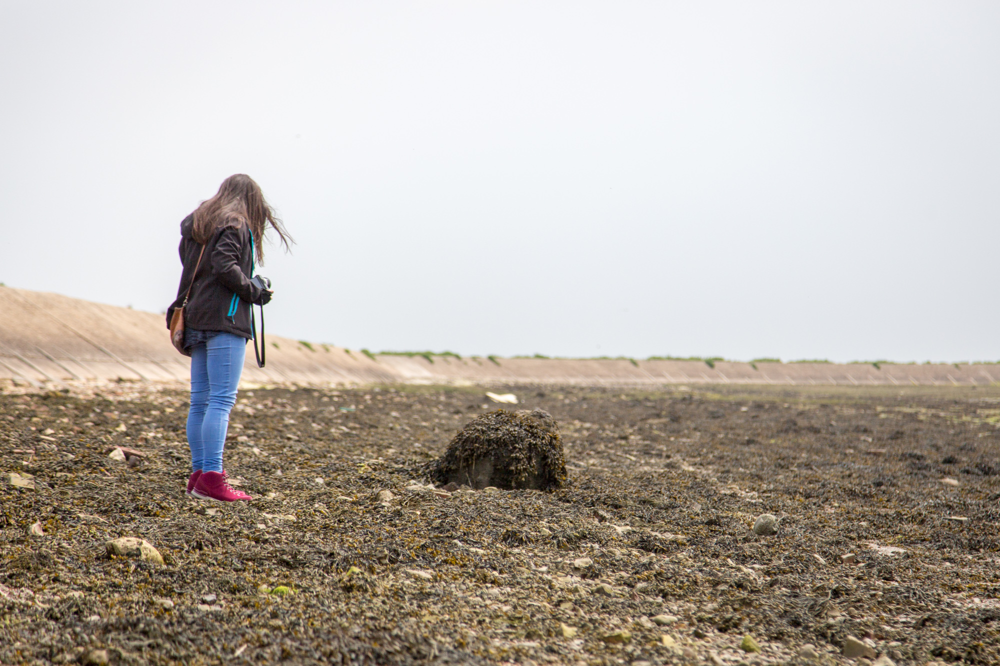 Strong Island Photography Walkshop - Farlington Marshes