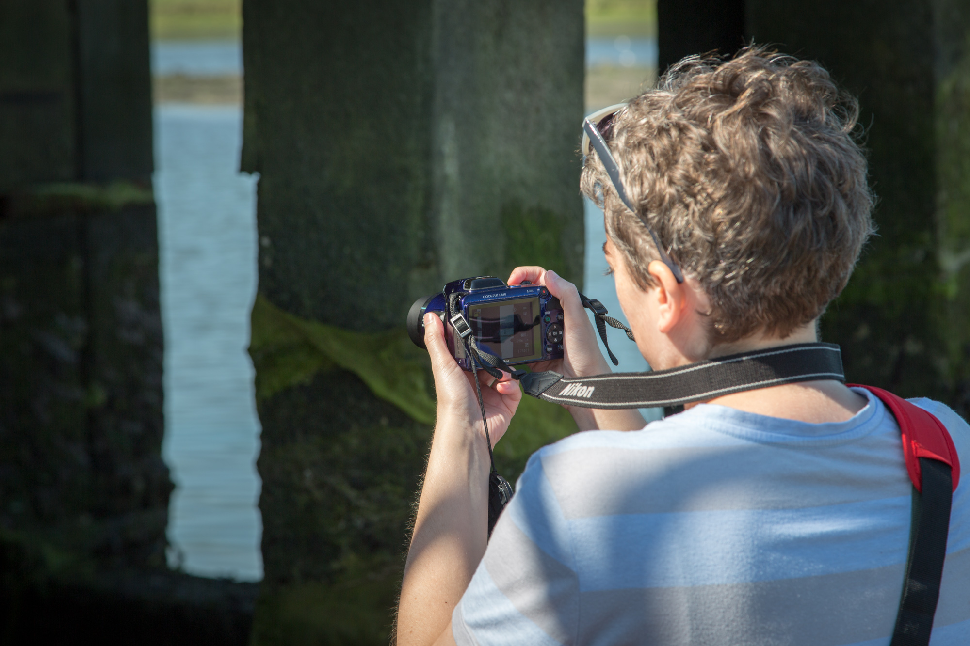 Strong Island Photography Walkshop - Dell Quay Strong Island Photography Walkshop - Dell Quay