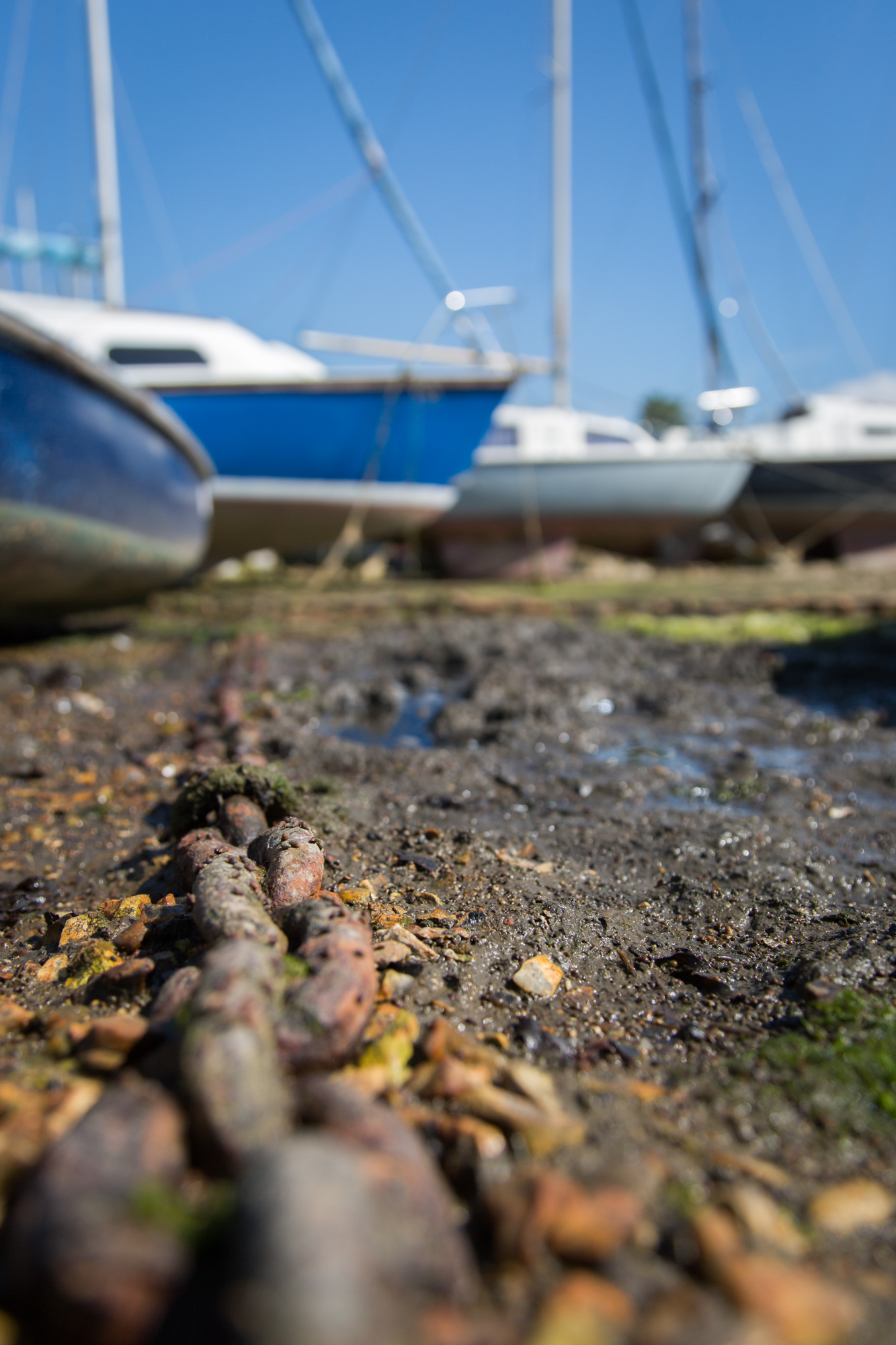 Strong Island Photography Walkshop - Dell Quay