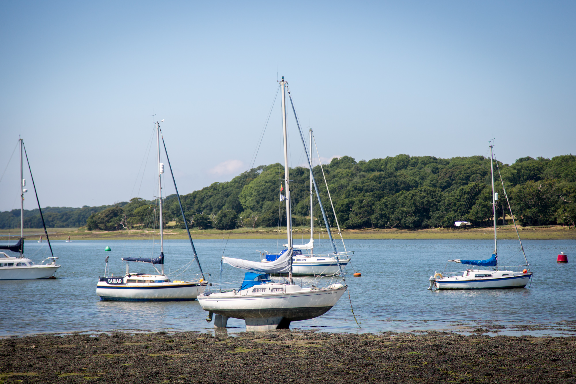 Strong Island Photography Walkshop - Dell Quay