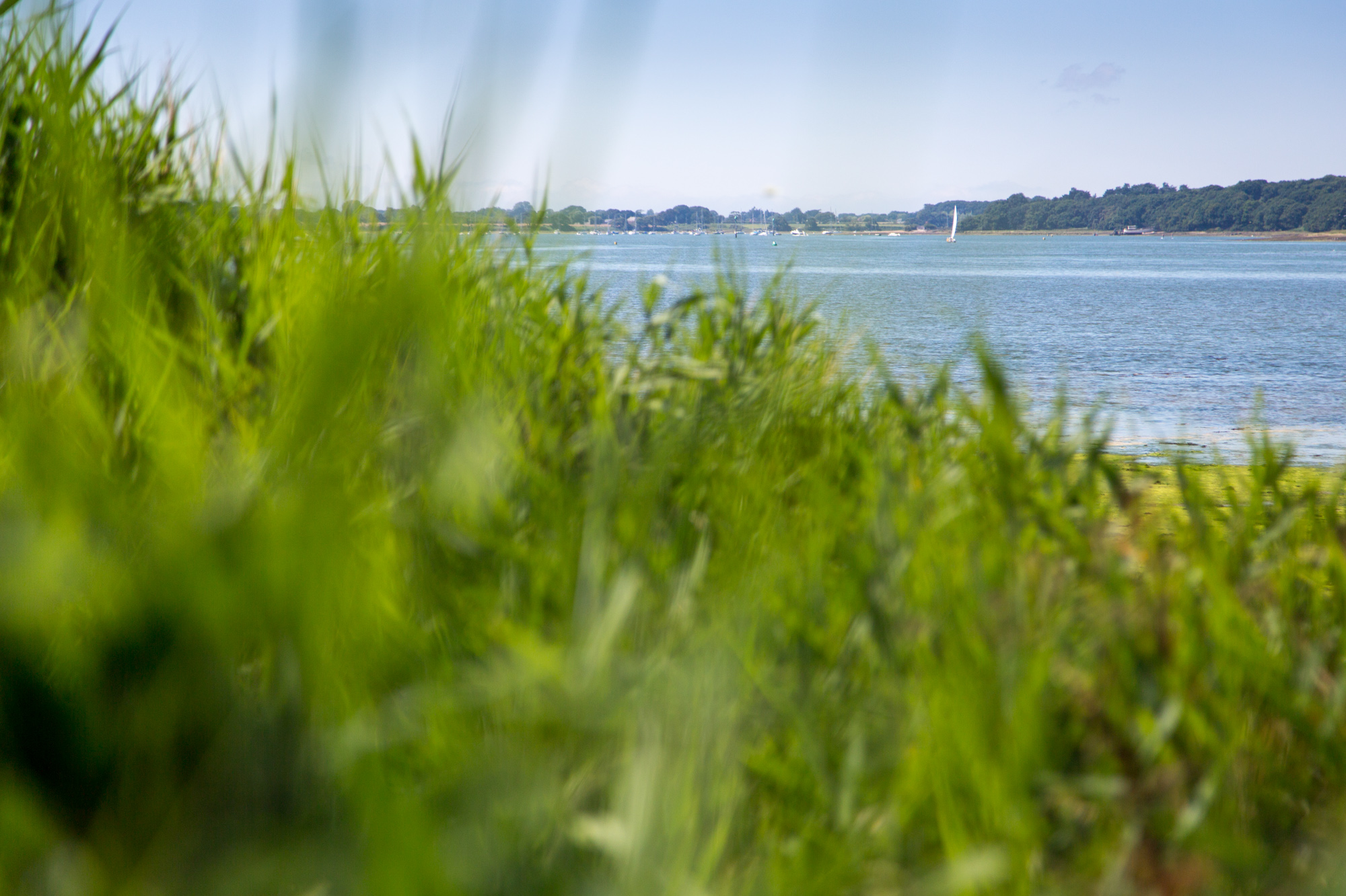 Strong Island Photography Walkshop - Dell Quay