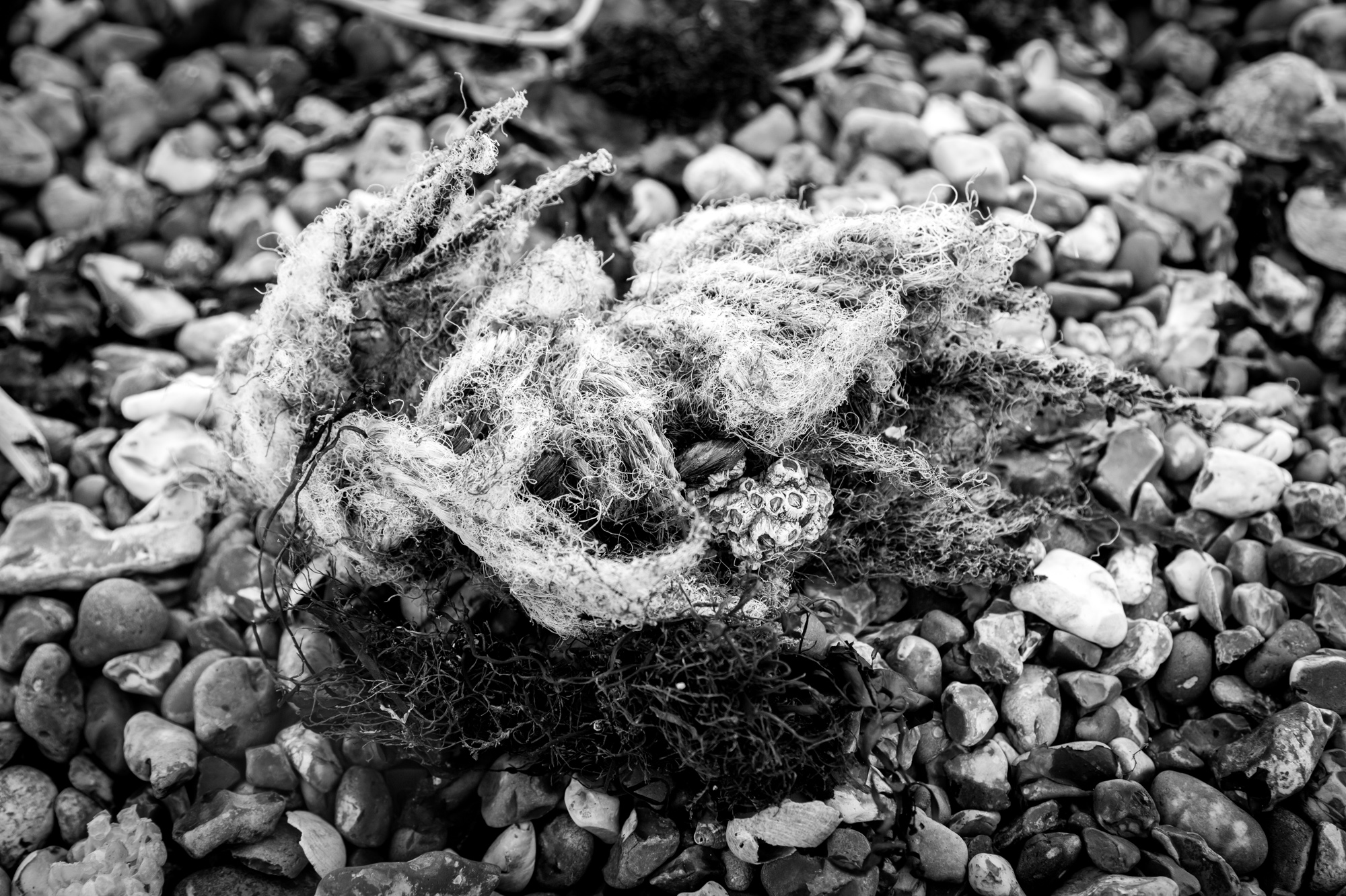 Strong Island Photo Walkshop - Southsea in B&W