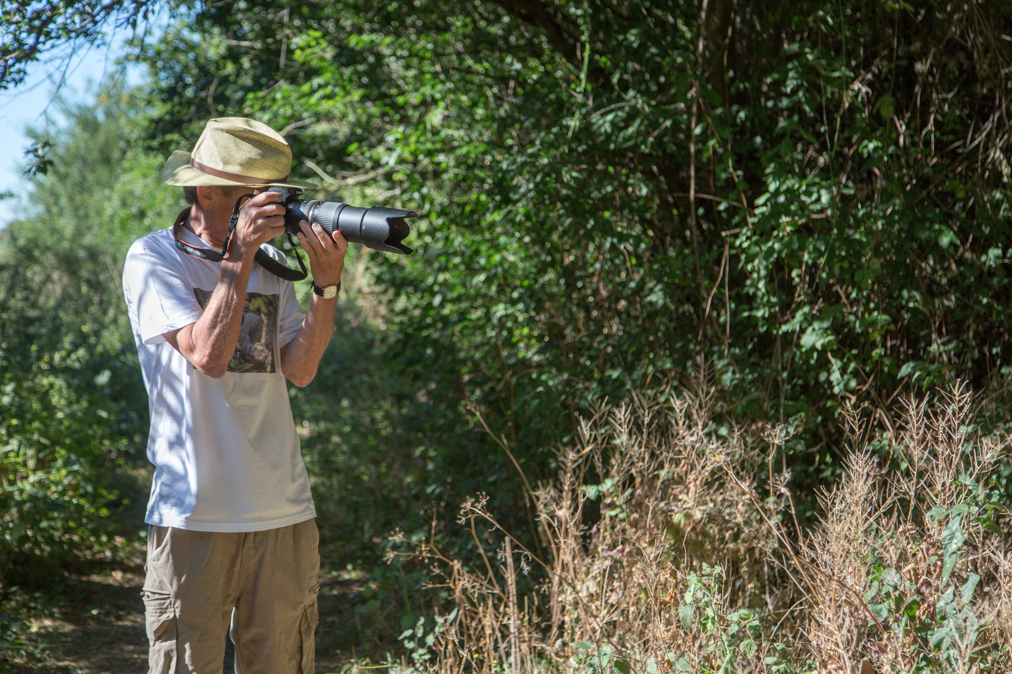 Hampshire and IOW Wildlife Trust