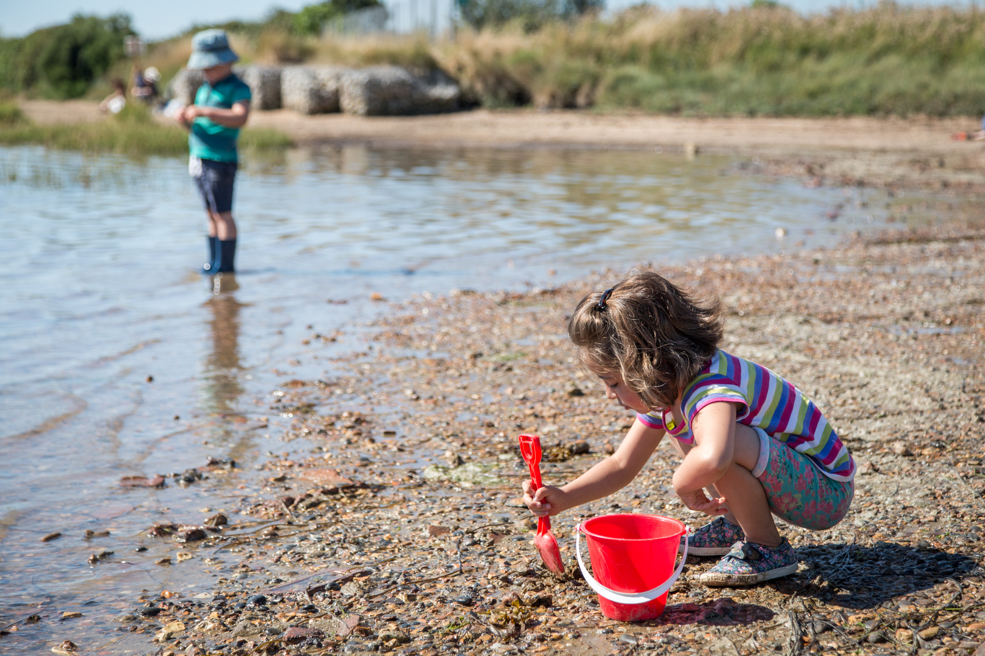 Hampshire and IOW Wildlife Trust