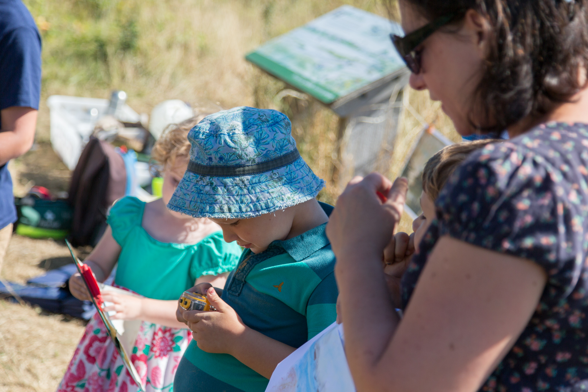 Hampshire and IOW Wildlife Trust