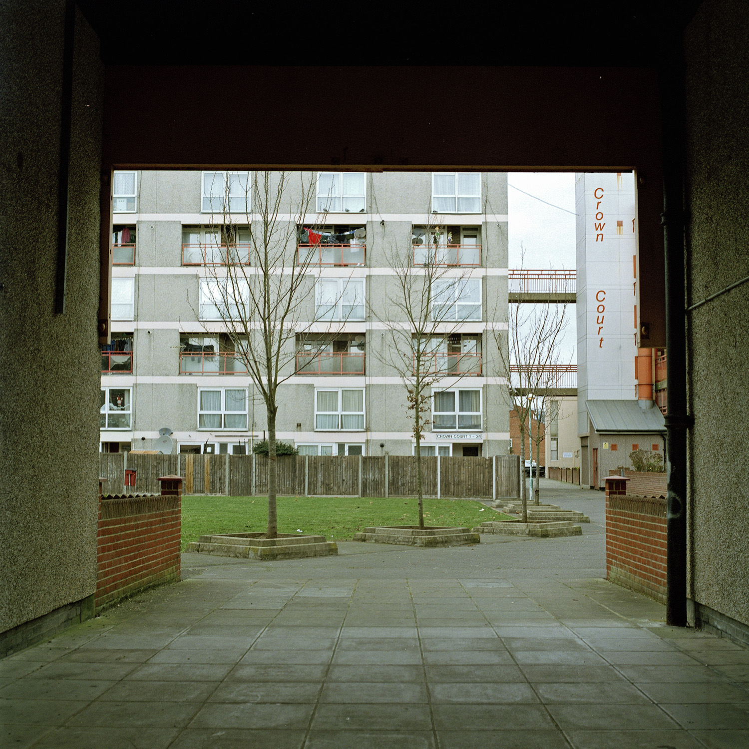 Looking out of a tunnel through to trees lined up in front of a block of flats in Landport