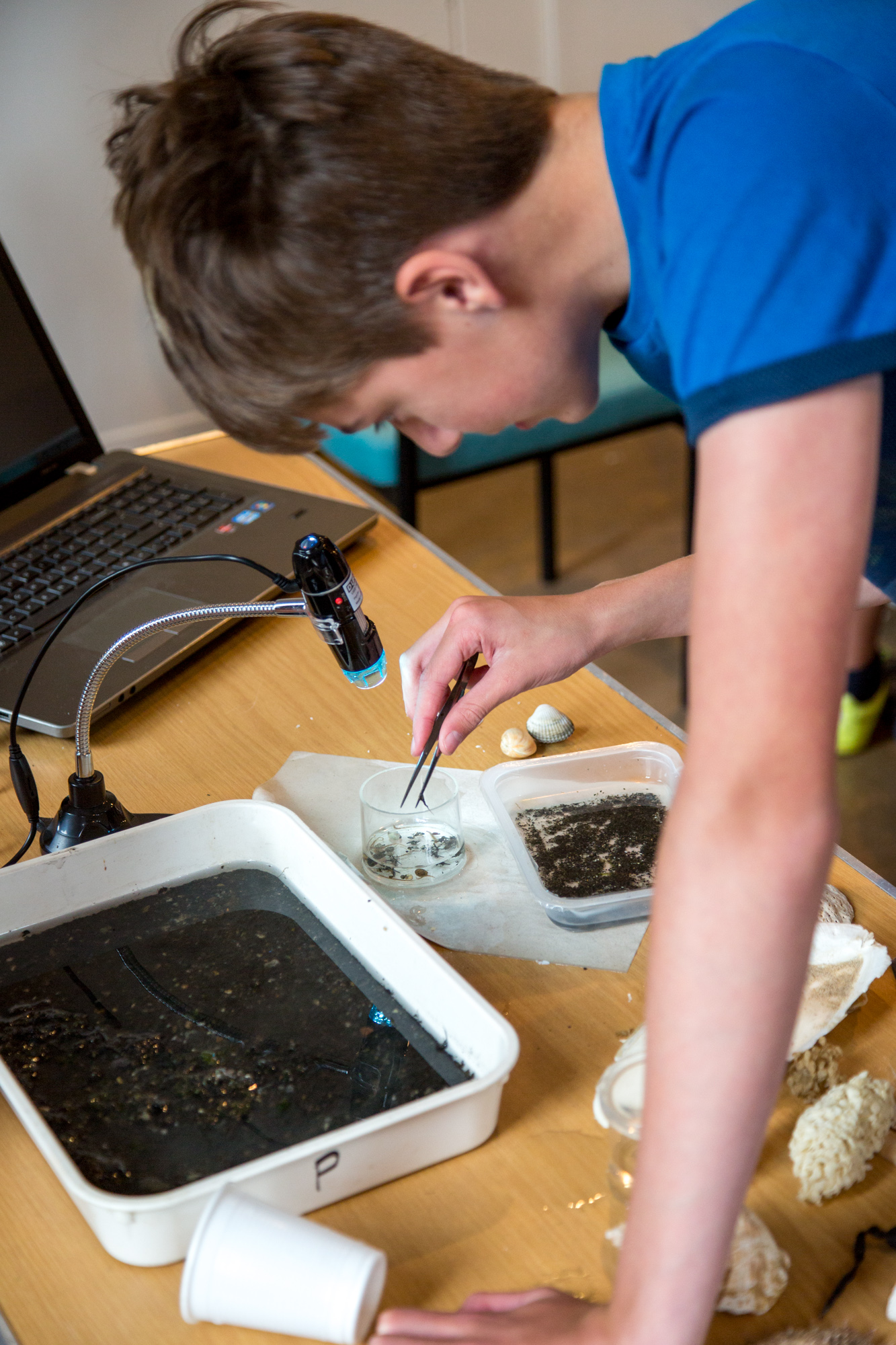 Young person looks at micro creatures in the mud through a webcam microscope