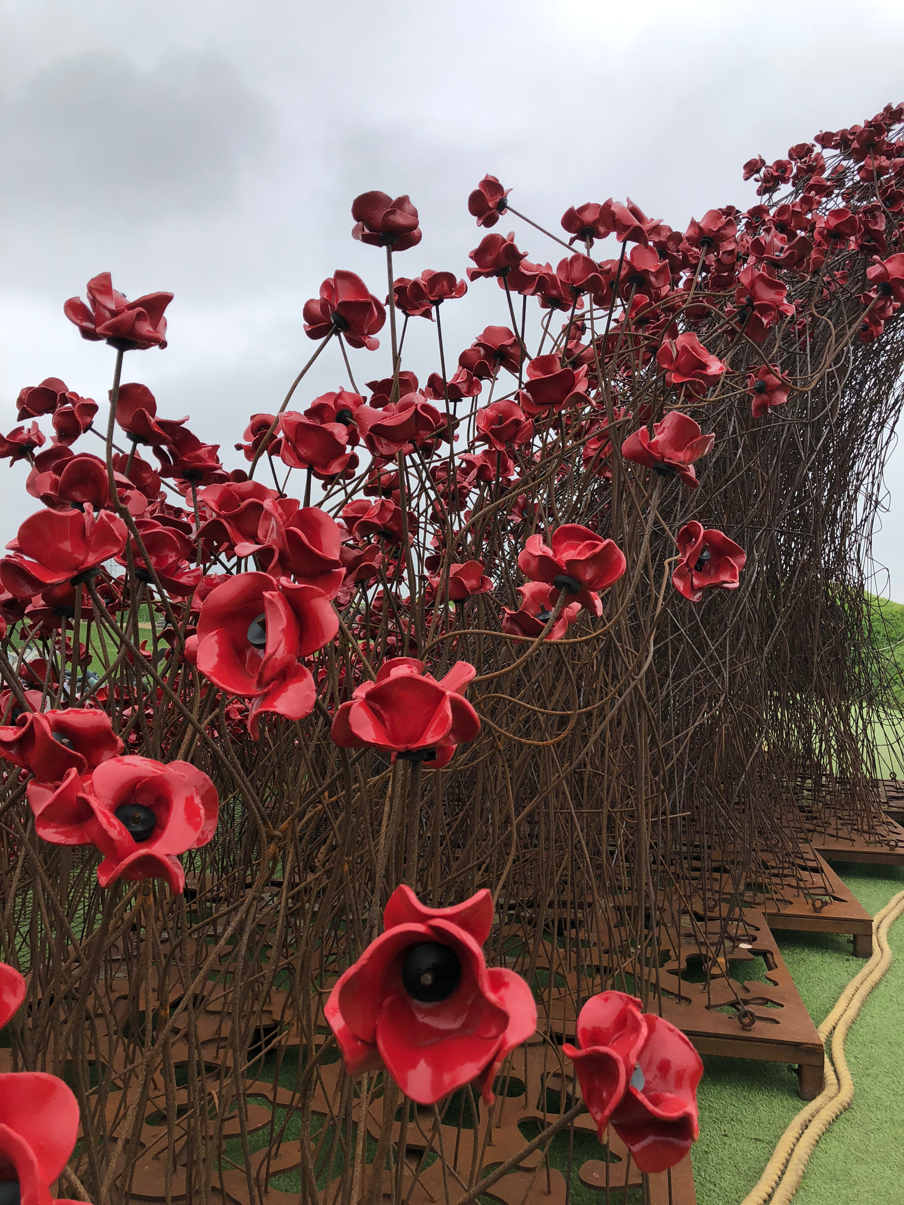 Poppy Wave at Fort Nelson. Taken by Paul Gonella.