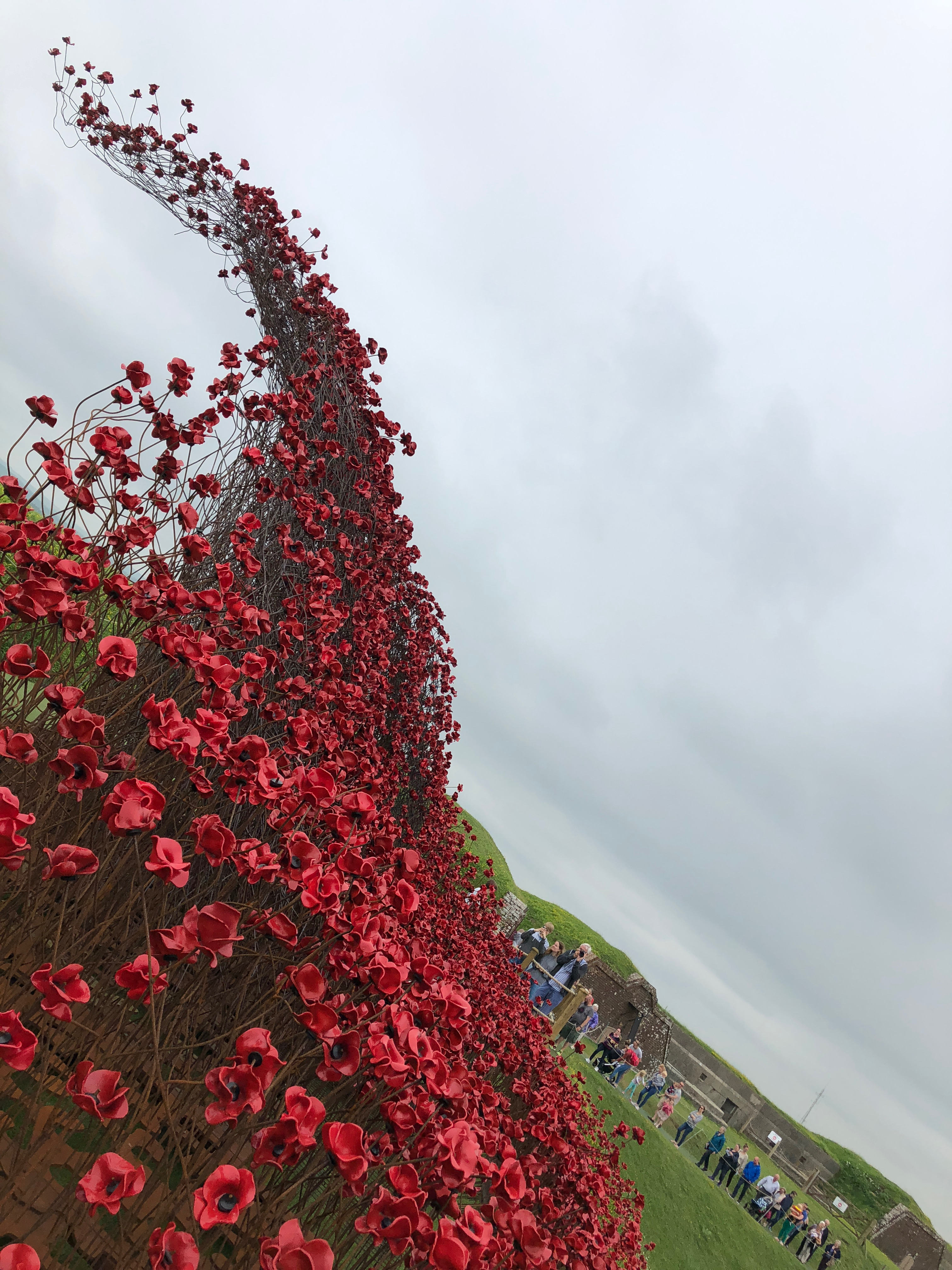 Poppy Wave at Fort Nelson. Taken by Paul Gonella.