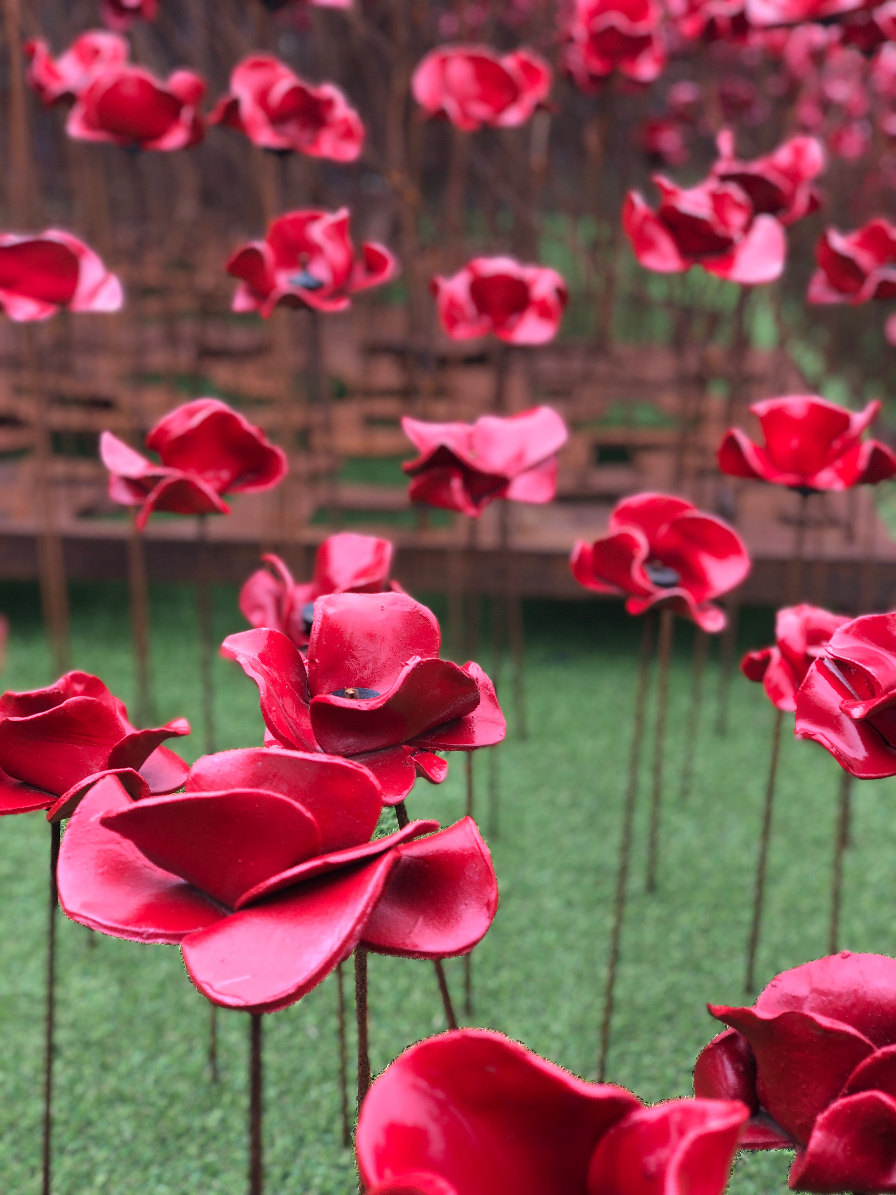 Poppy Wave at Fort Nelson. Taken by Paul Gonella.